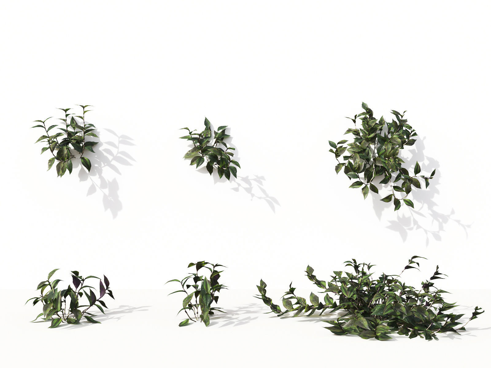 Green wall Collection - Include GrowFX and Mesh file 3D model_33
