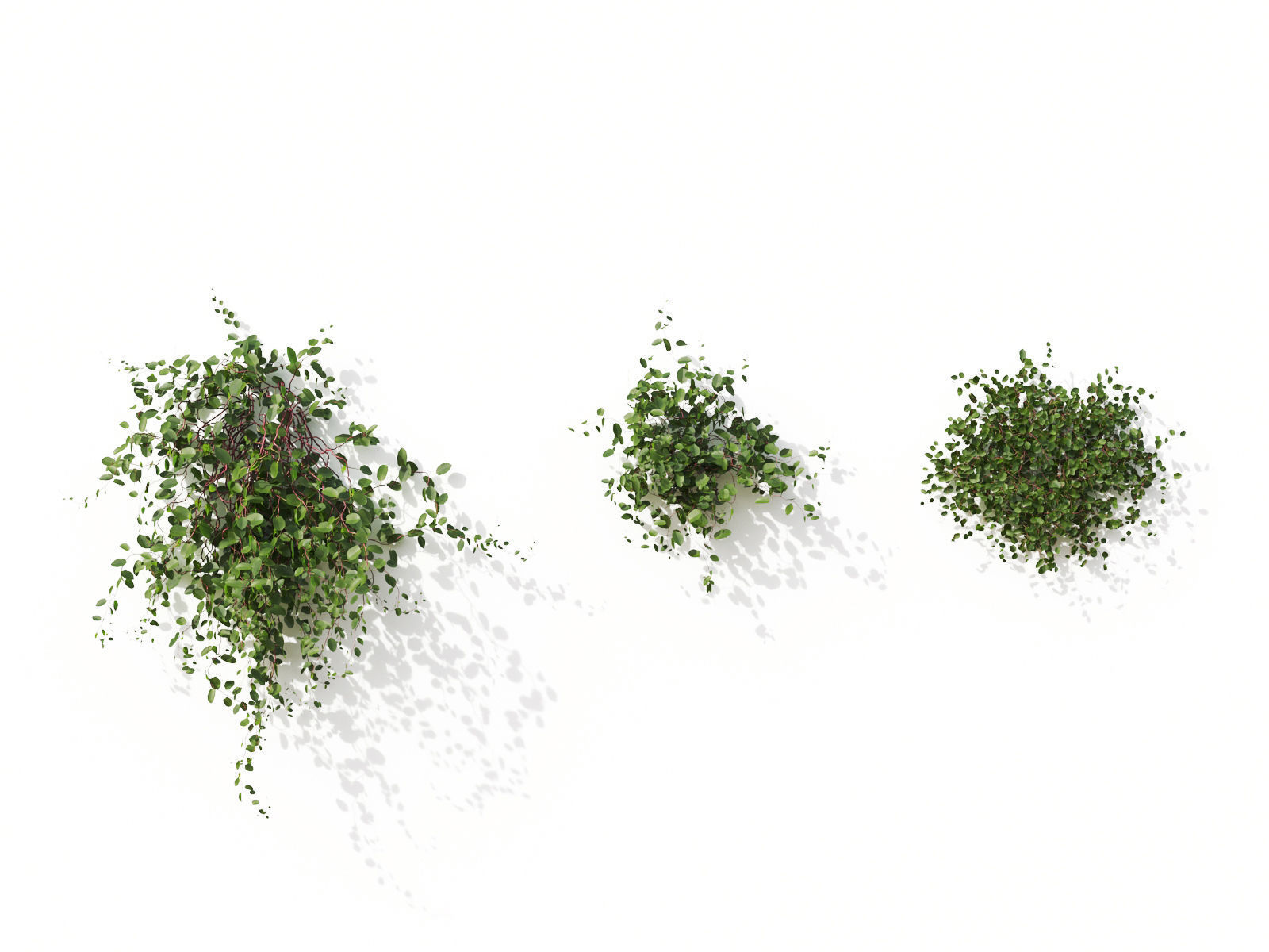 Green wall Collection - Include GrowFX and Mesh file 3D model_26