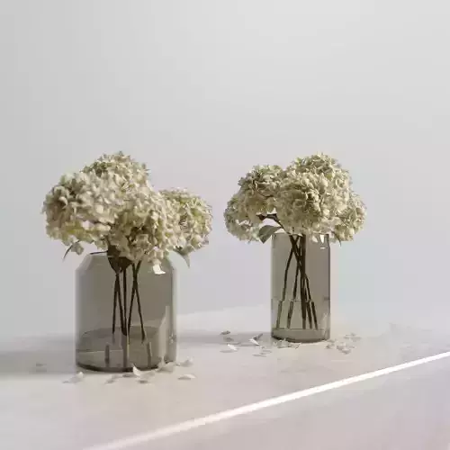Dried hydrangeas set 3D model
