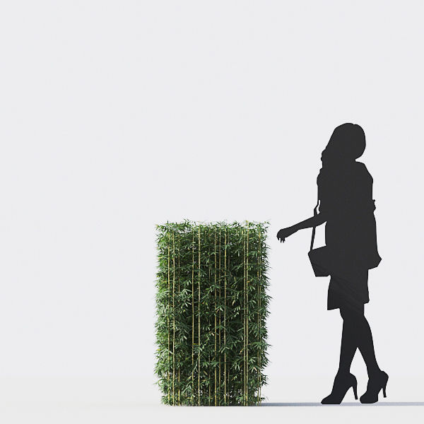 Bamboo Collection - Include GrowFX and Mesh file 3D model_45