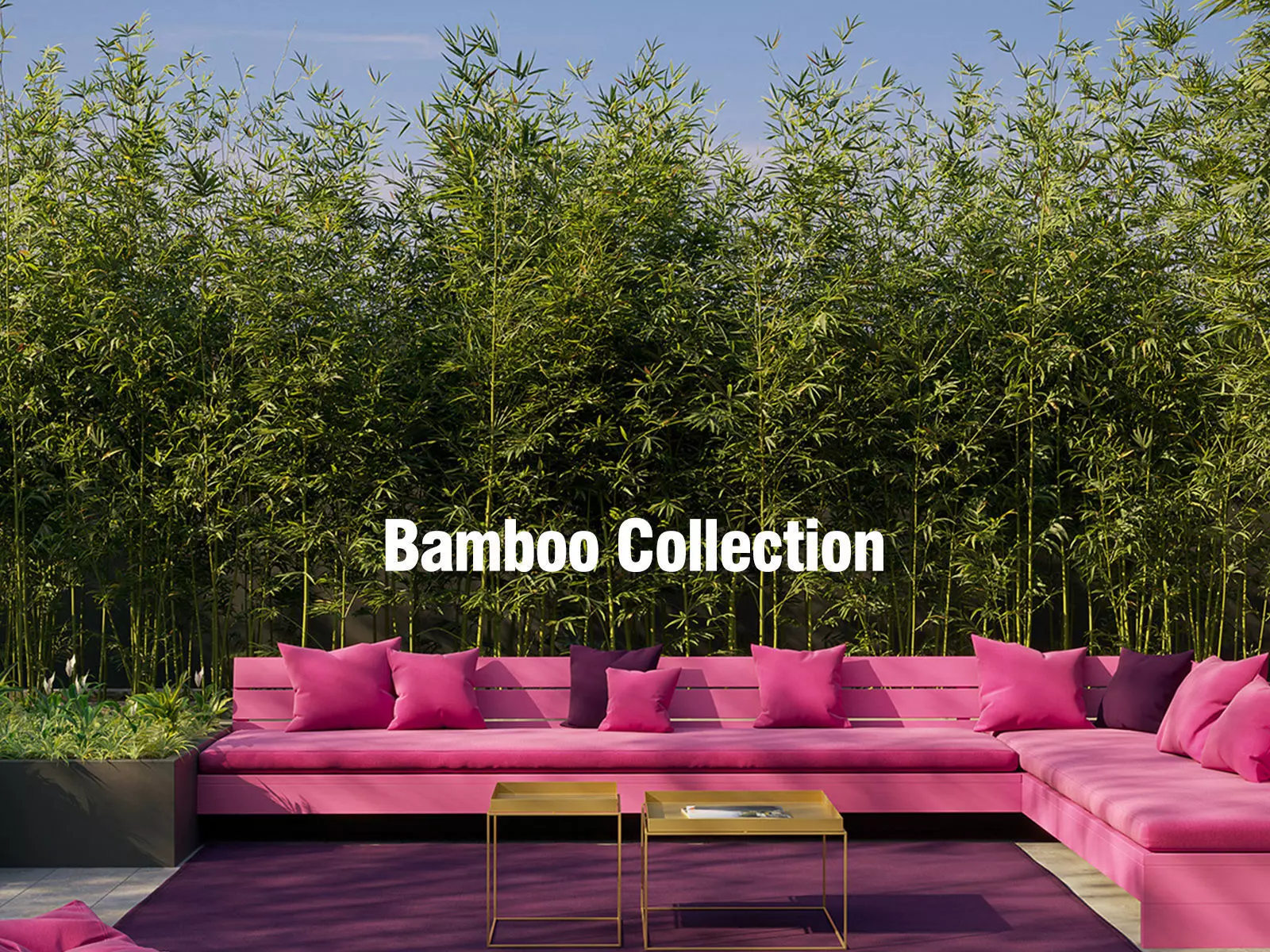 Bamboo Collection - Include GrowFX and Mesh file 3D model_0