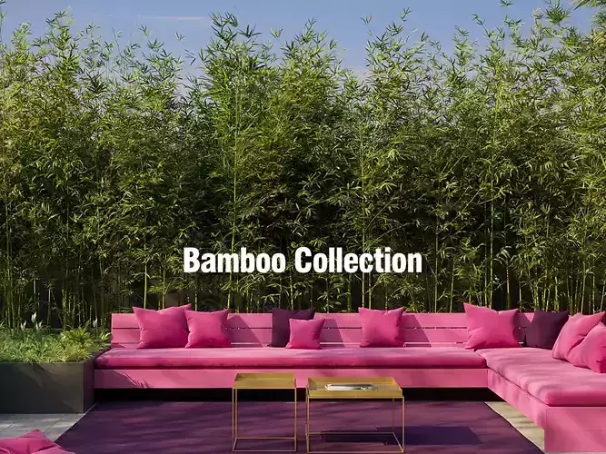 Bamboo Collection - Include GrowFX and Mesh file 3D model Bamboo Collection - Include GrowFX and Mesh file 3D model