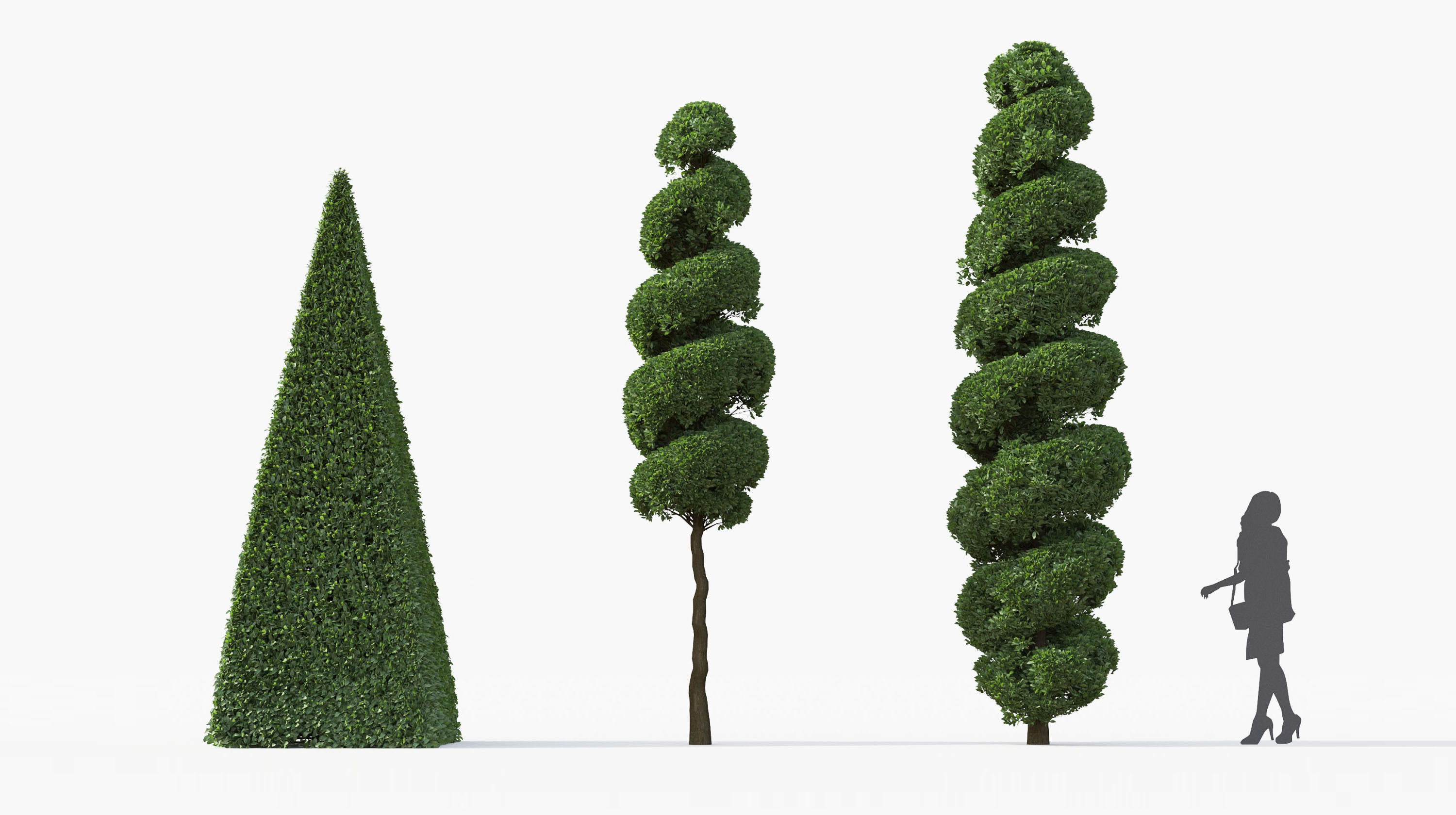 Boxwood Shrub collection - Include GrowFX and Mesh file 3D model_22