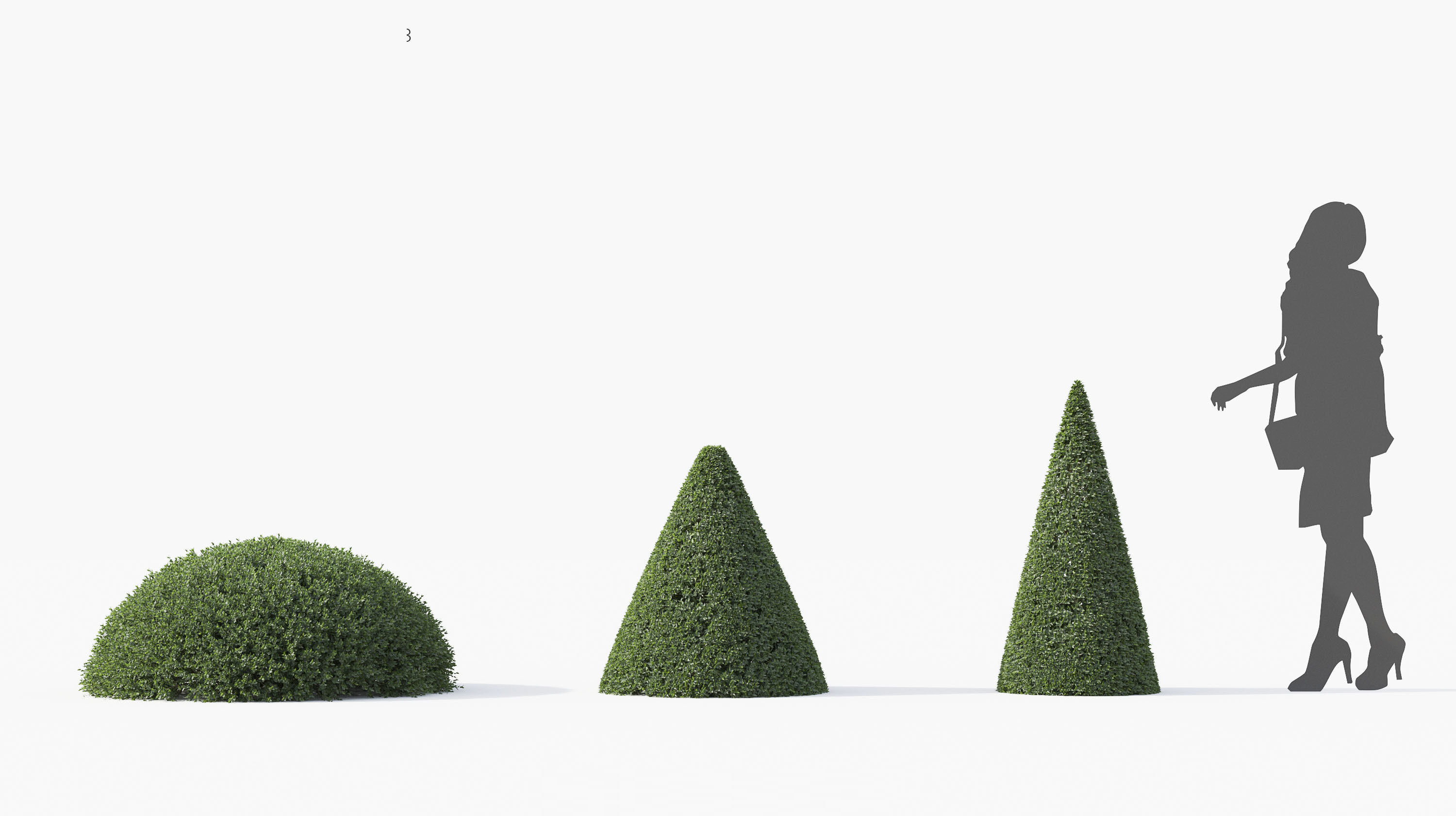 Boxwood Shrub collection - Include GrowFX and Mesh file 3D model_11