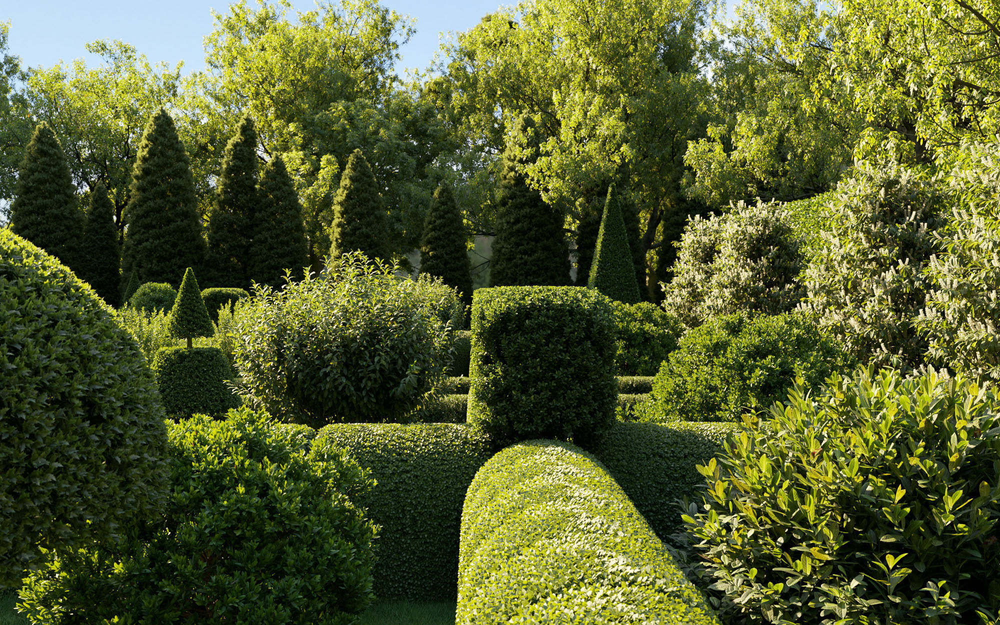 Boxwood Shrub collection - Include GrowFX and Mesh file 3D model_6