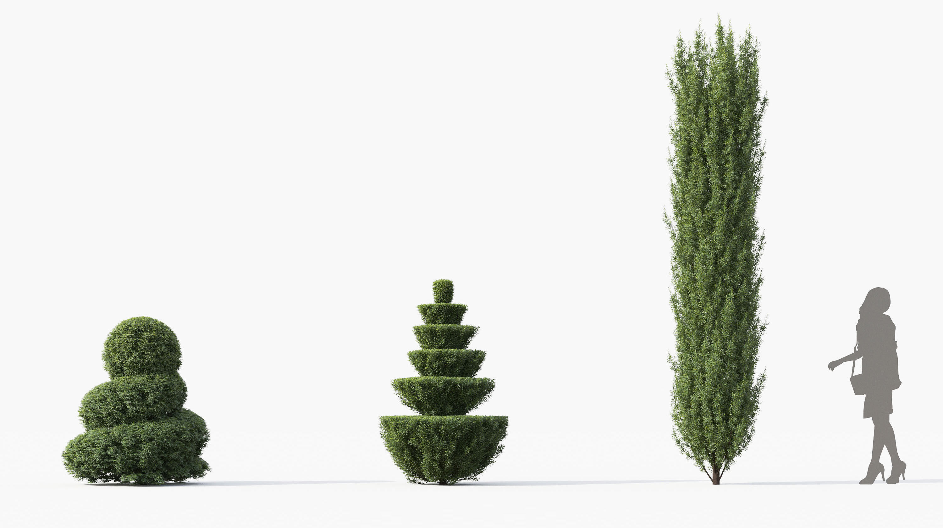 Boxwood Shrub collection - Include GrowFX and Mesh file 3D model_43