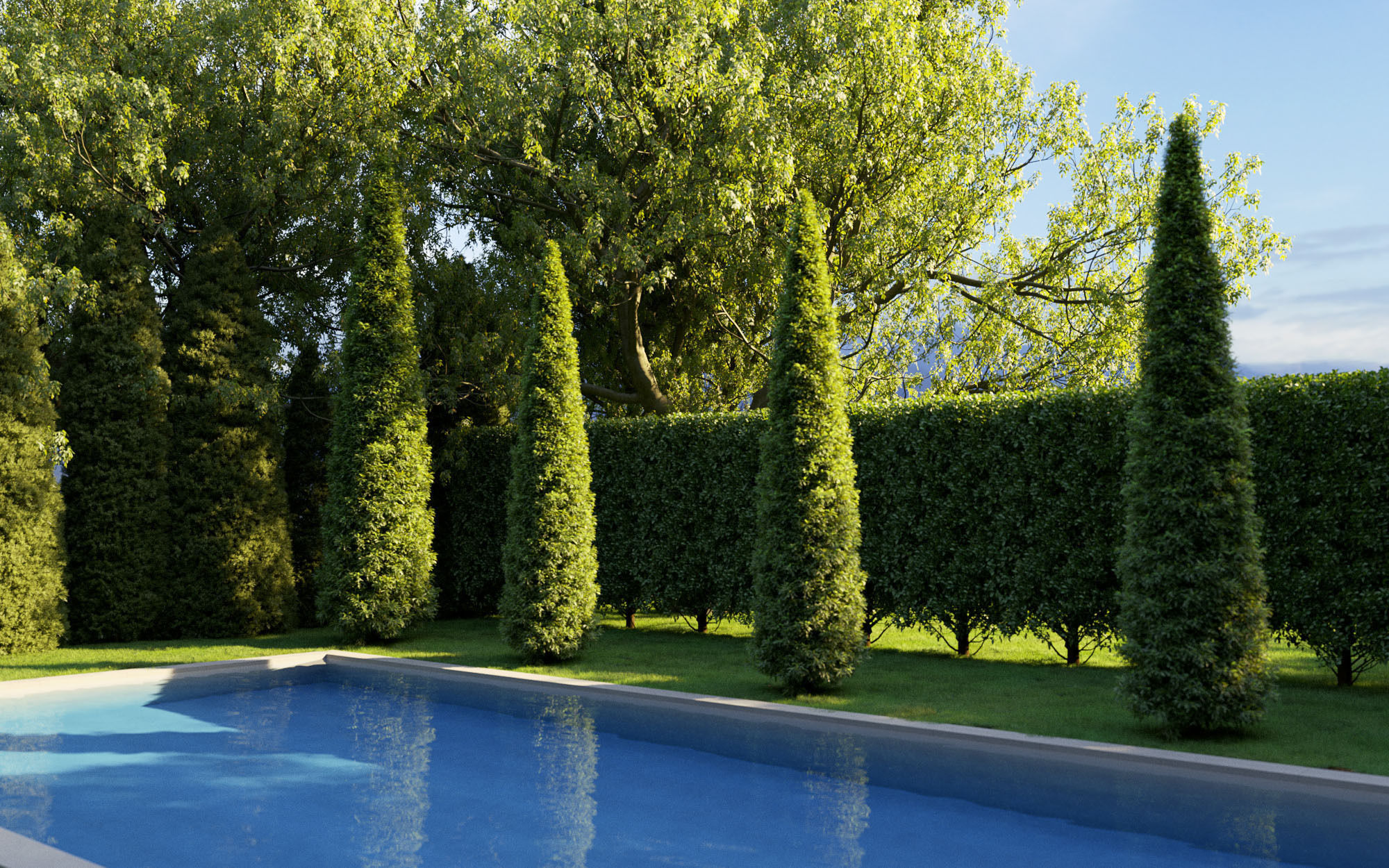 Boxwood Shrub collection - Include GrowFX and Mesh file 3D model_5