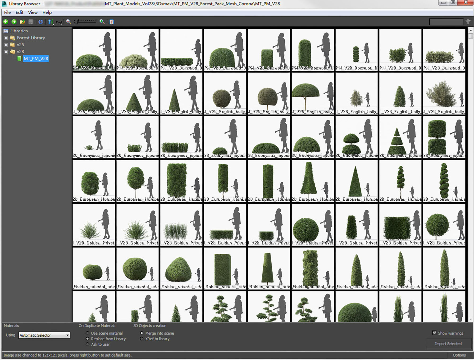 Boxwood Shrub collection - Include GrowFX and Mesh file 3D model_7