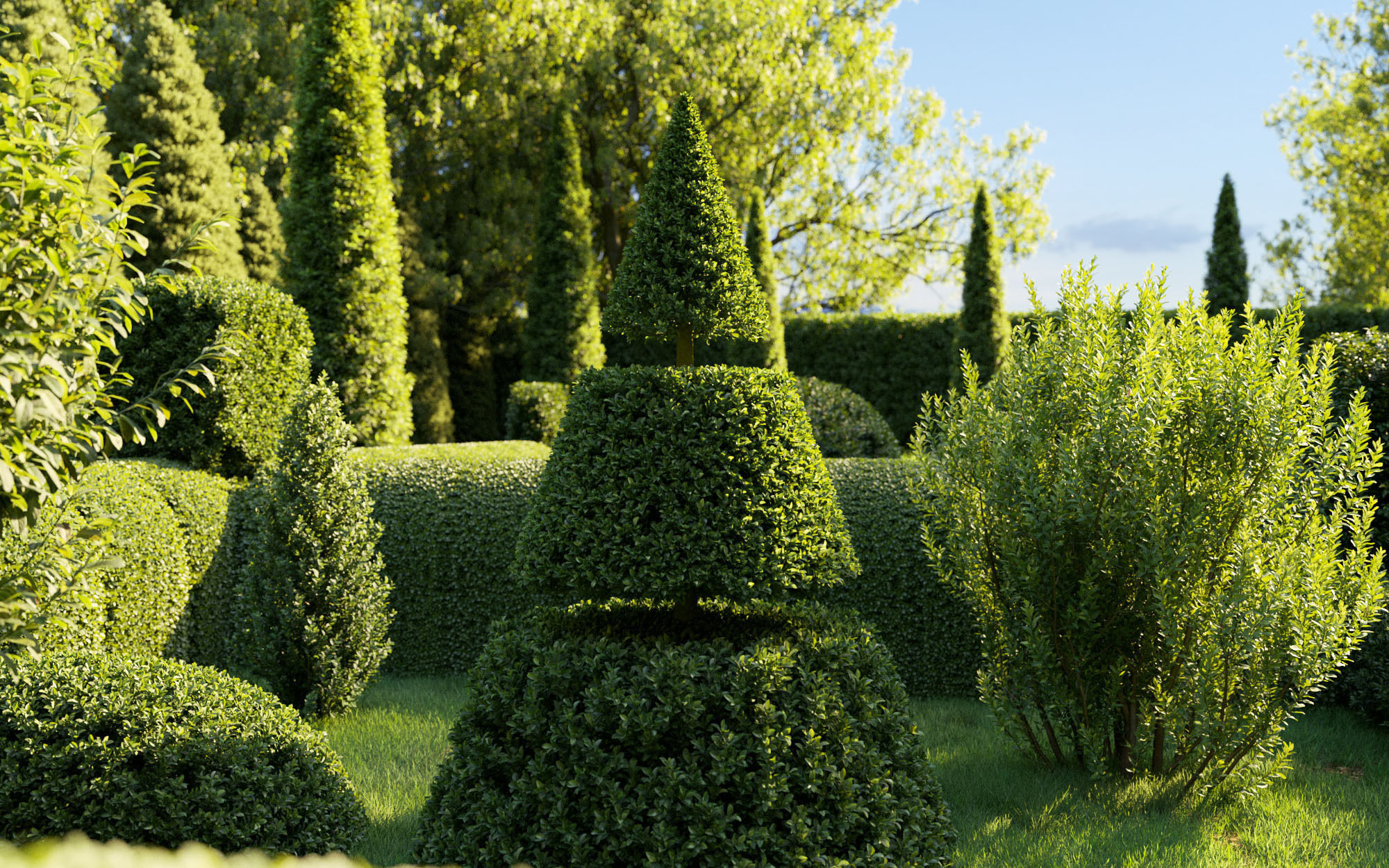 Boxwood Shrub collection - Include GrowFX and Mesh file 3D model_3