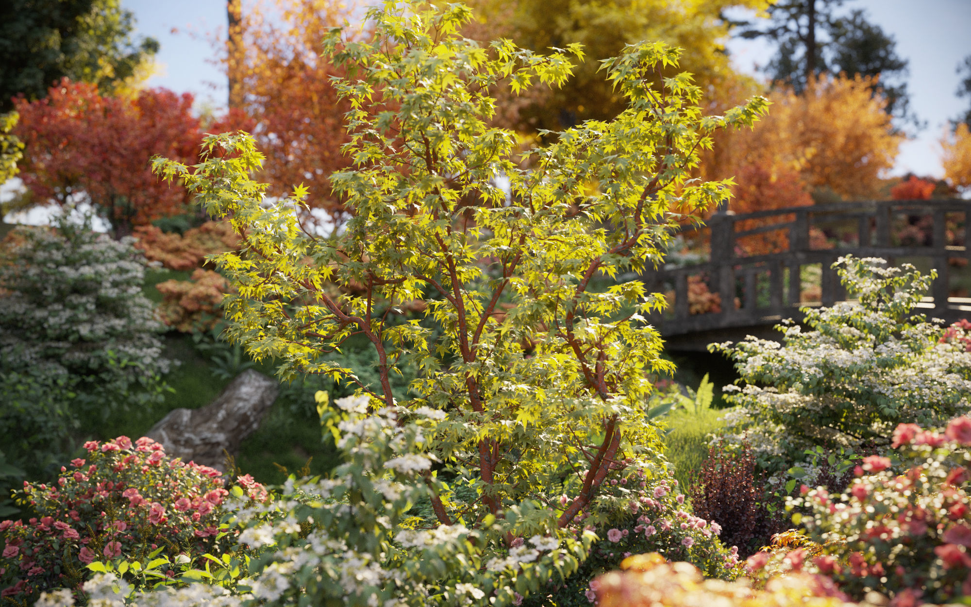 Japanese plants - Include GrowFX and Mesh file  3D model_4