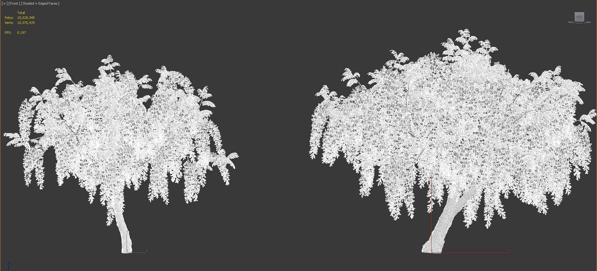 Japanese plants - Include GrowFX and Mesh file  3D model_68
