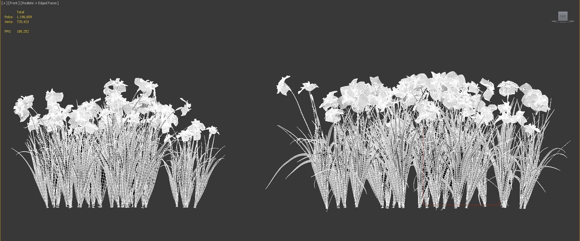 Japanese plants - Include GrowFX and Mesh file  3D model_49