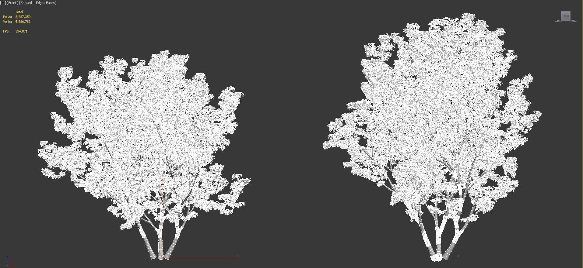 Japanese plants - Include GrowFX and Mesh file  3D model_43