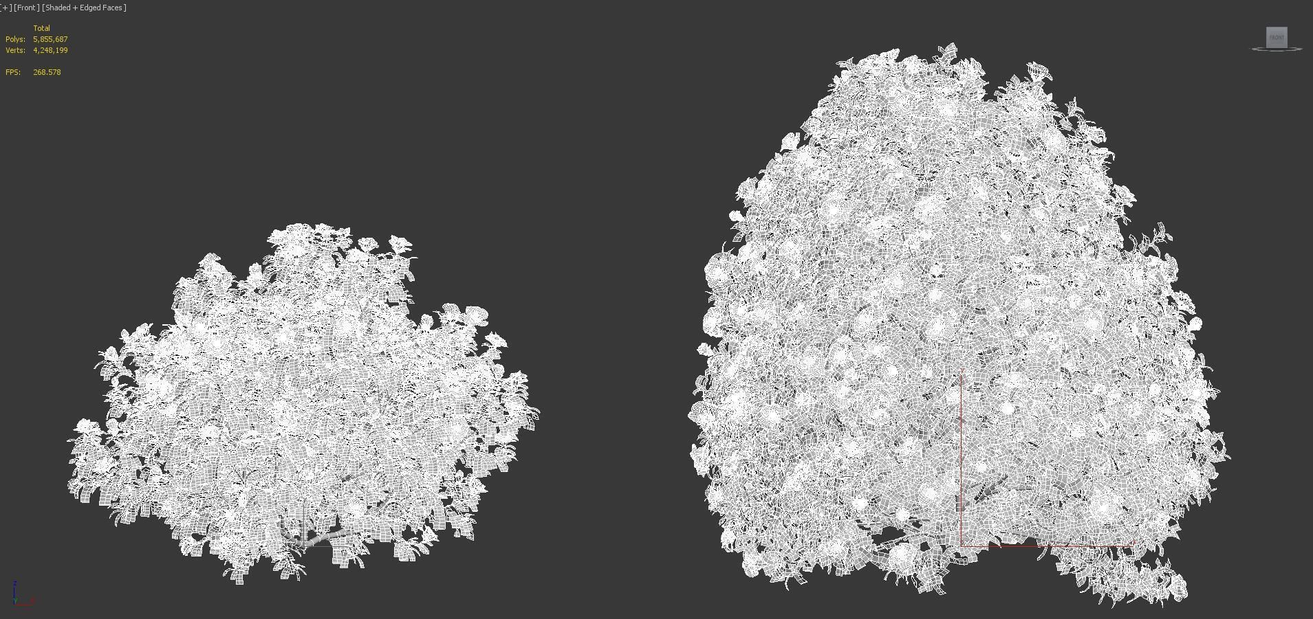 Japanese plants - Include GrowFX and Mesh file  3D model_45