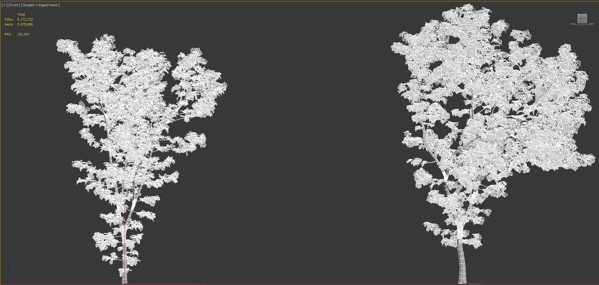 Japanese plants - Include GrowFX and Mesh file  3D model_35