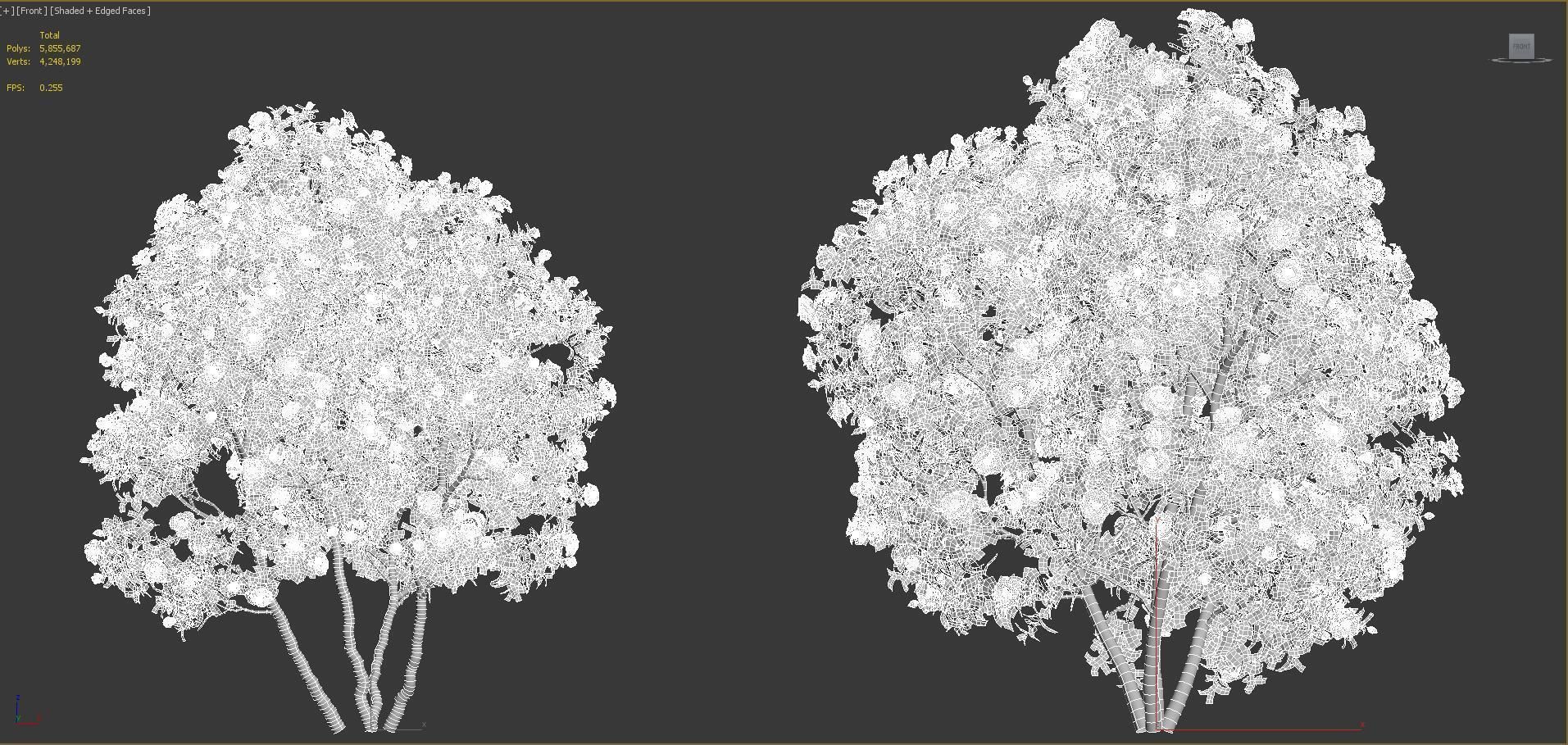 Japanese plants - Include GrowFX and Mesh file  3D model_46
