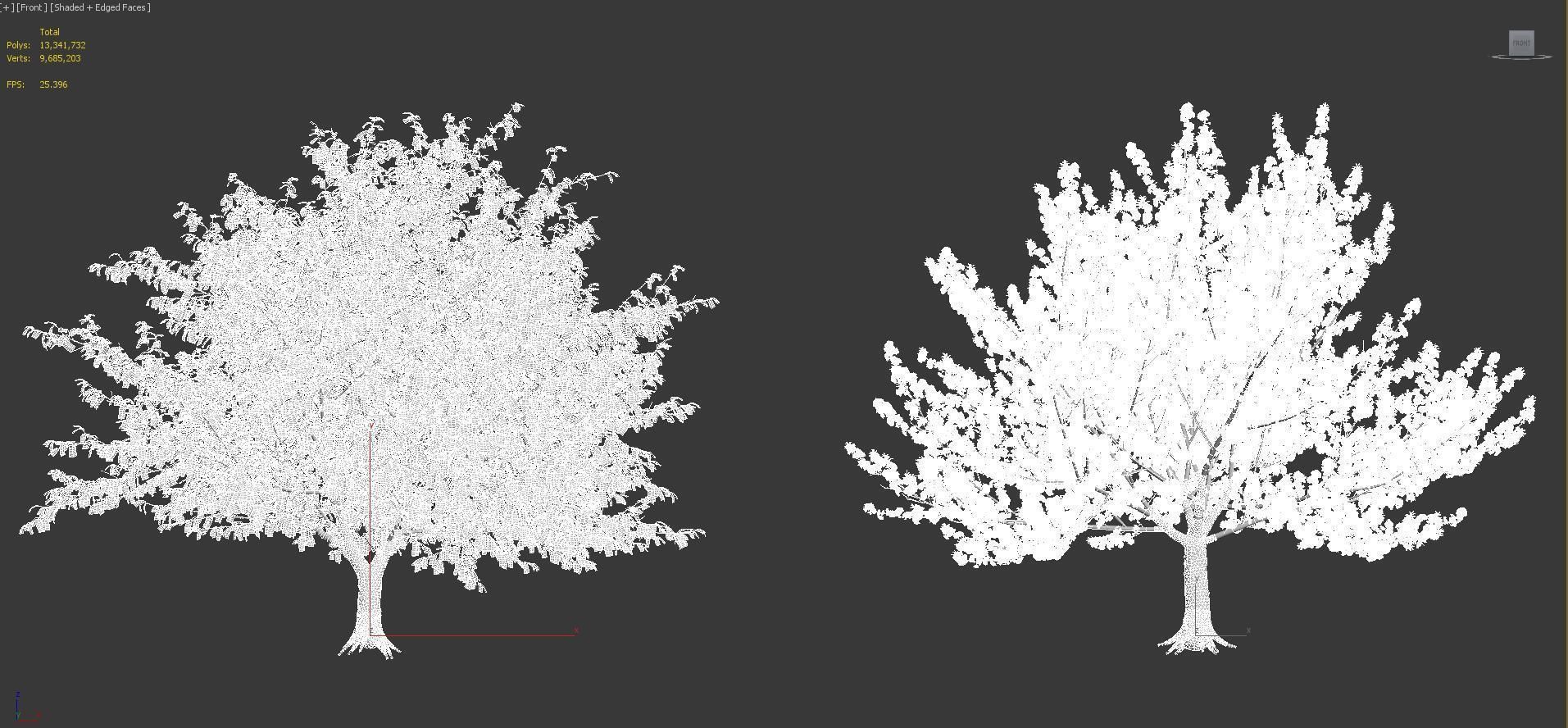 Japanese plants - Include GrowFX and Mesh file  3D model_61