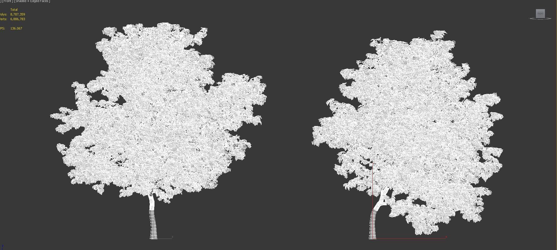 Japanese plants - Include GrowFX and Mesh file  3D model_42