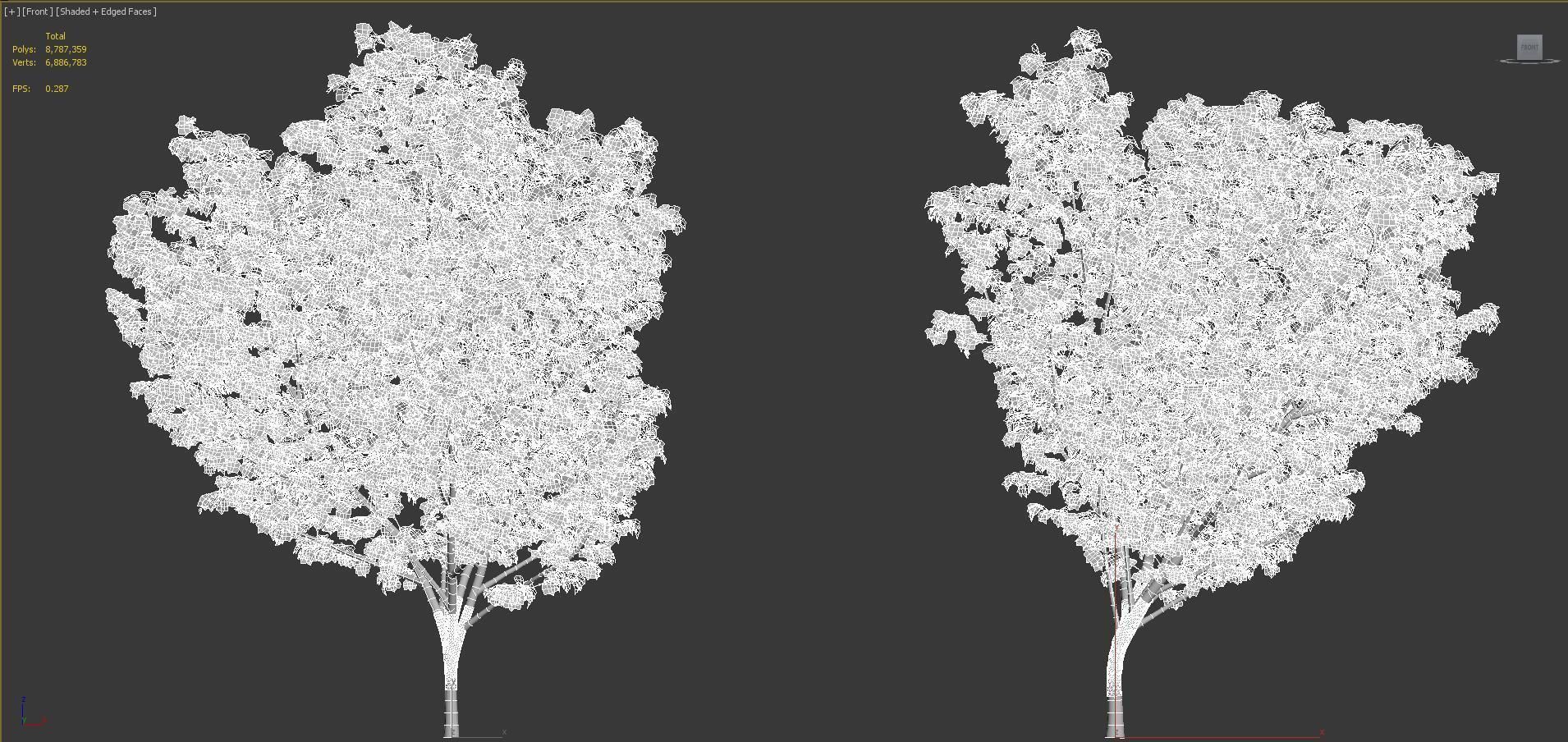 Japanese plants - Include GrowFX and Mesh file  3D model_41