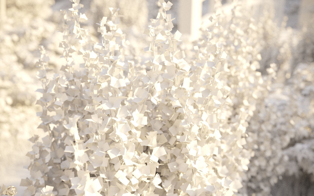 Japanese plants - Include GrowFX and Mesh file  3D model_34