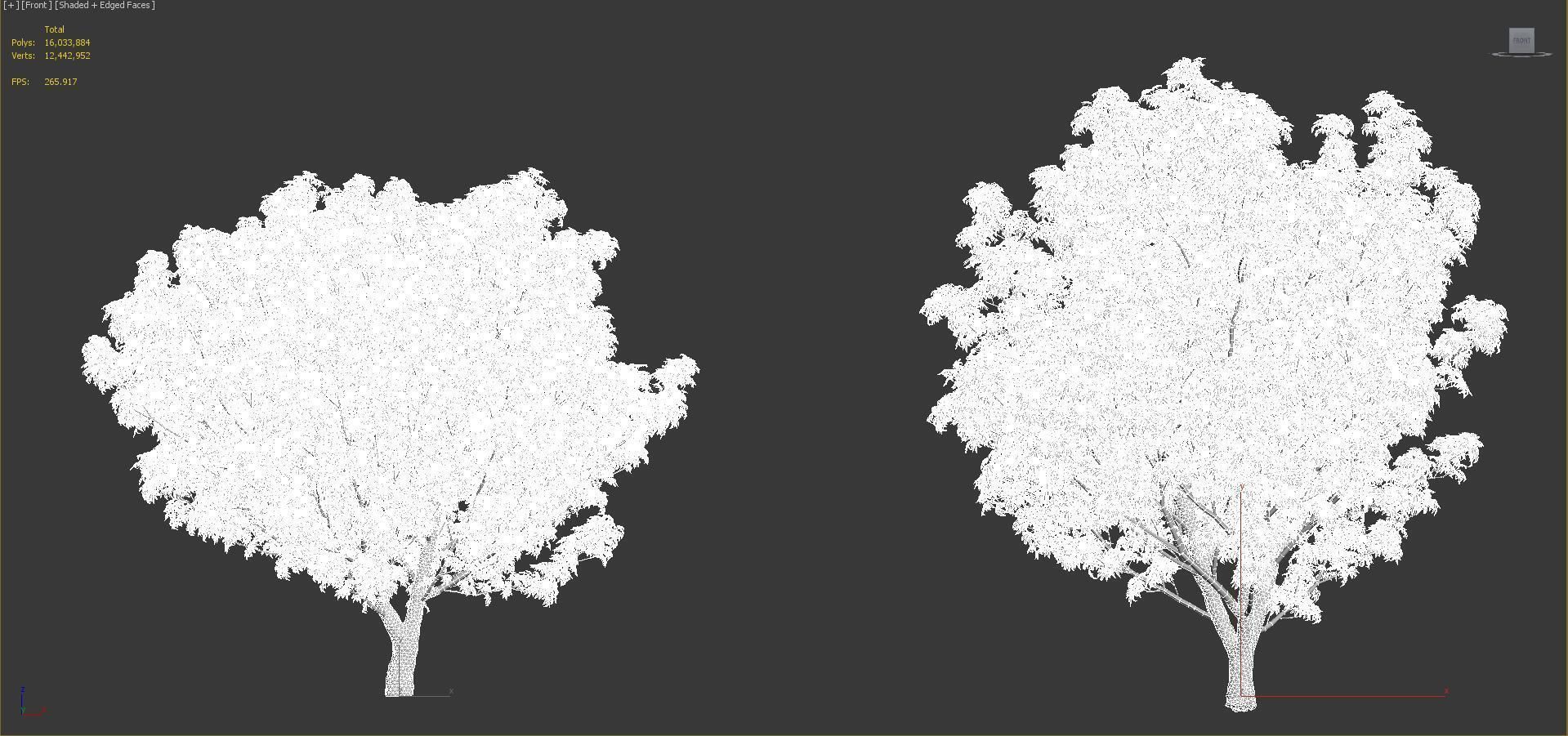 Japanese plants - Include GrowFX and Mesh file  3D model_55