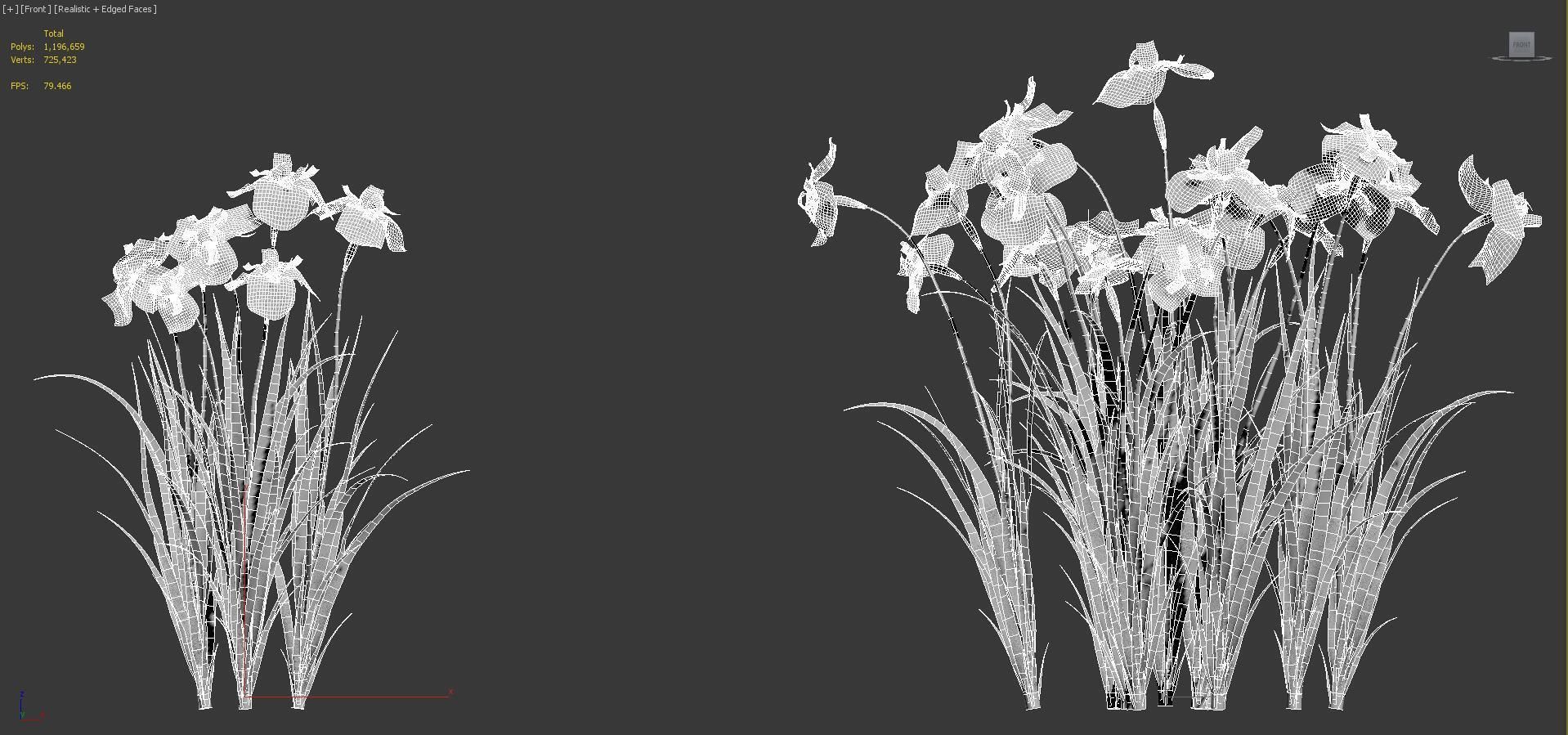 Japanese plants - Include GrowFX and Mesh file  3D model_47