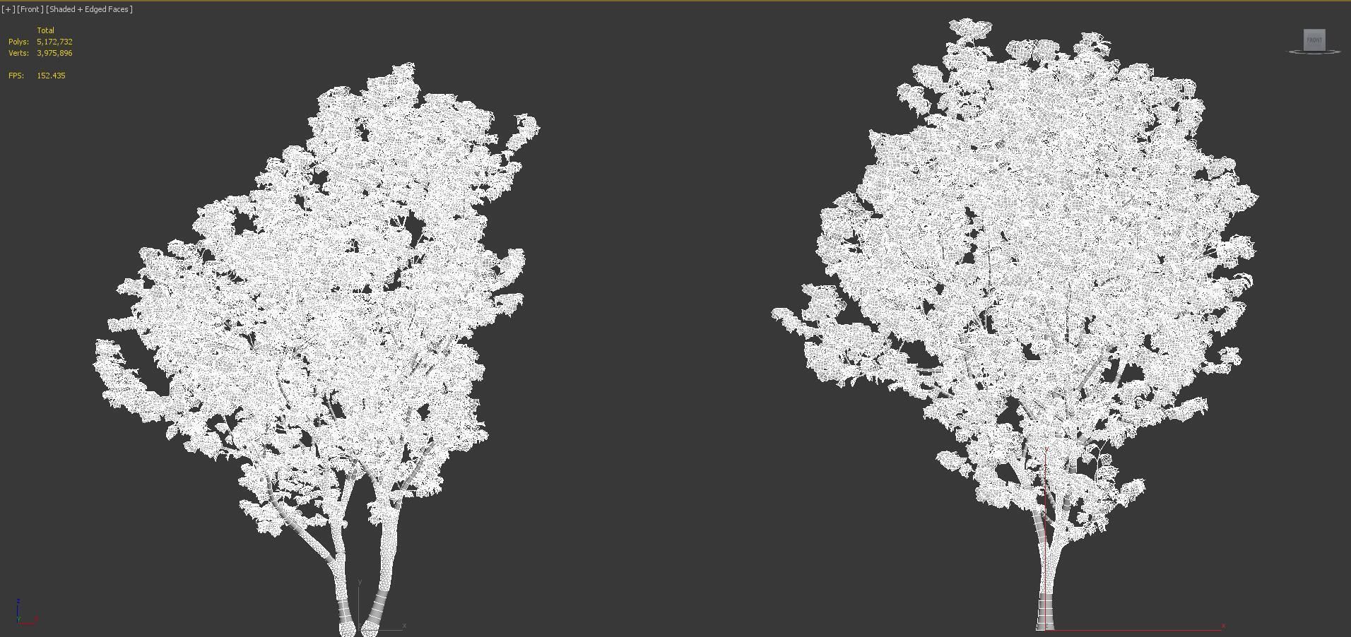 Japanese plants - Include GrowFX and Mesh file  3D model_36