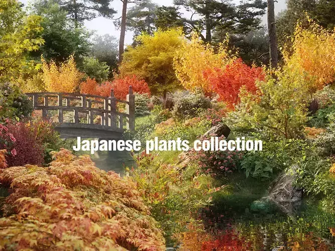 Japanese plants - Include GrowFX and Mesh file  3D model Japanese plants - Include GrowFX and Mesh file  3D model