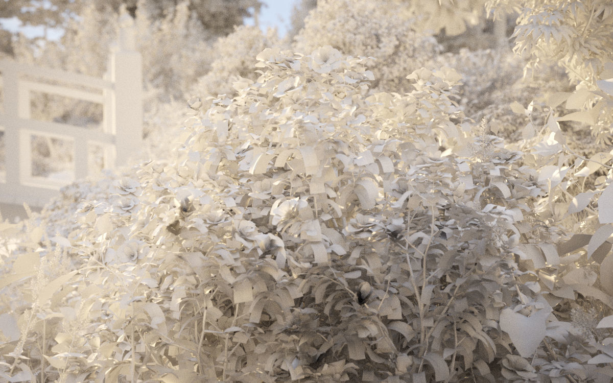 Japanese plants - Include GrowFX and Mesh file  3D model_31