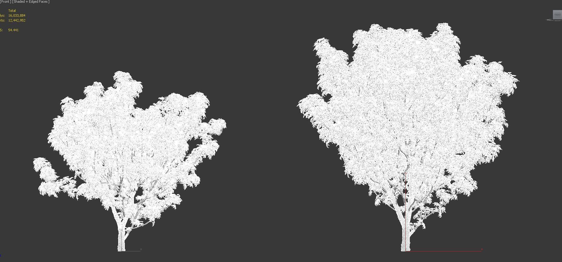 Japanese plants - Include GrowFX and Mesh file  3D model_54