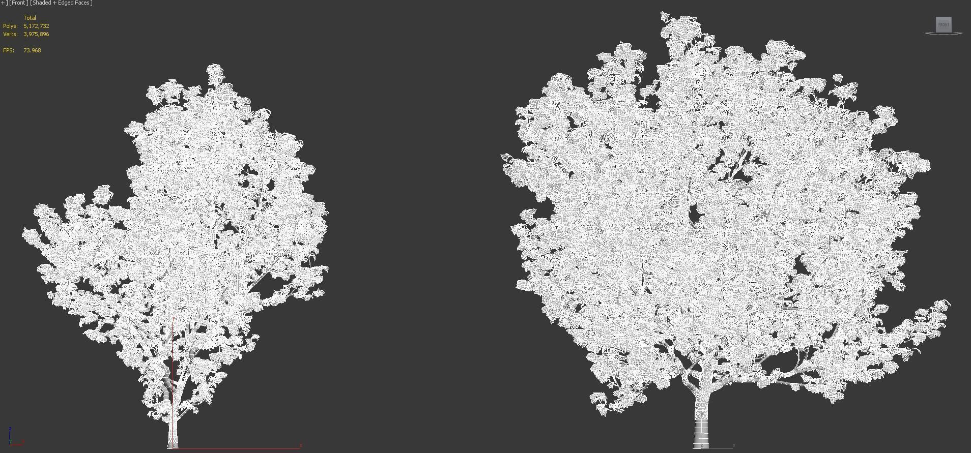 Japanese plants - Include GrowFX and Mesh file  3D model_37