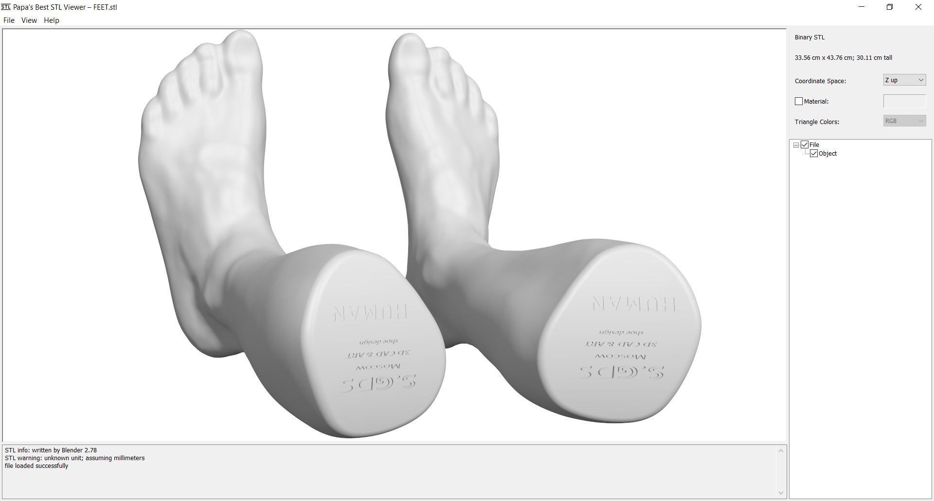 FEET - STL 3D print model_1