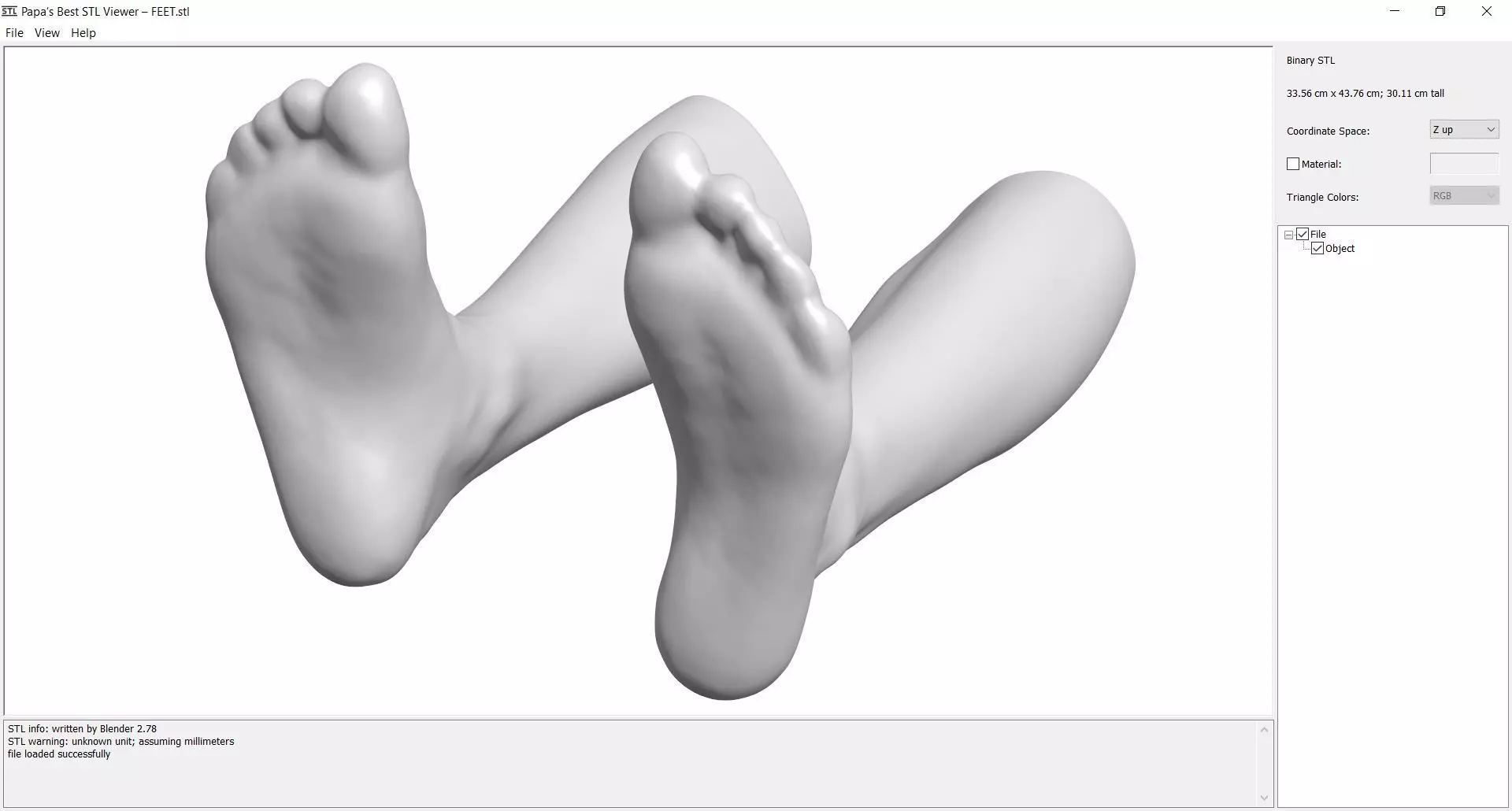 FEET - STL 3D print model_0