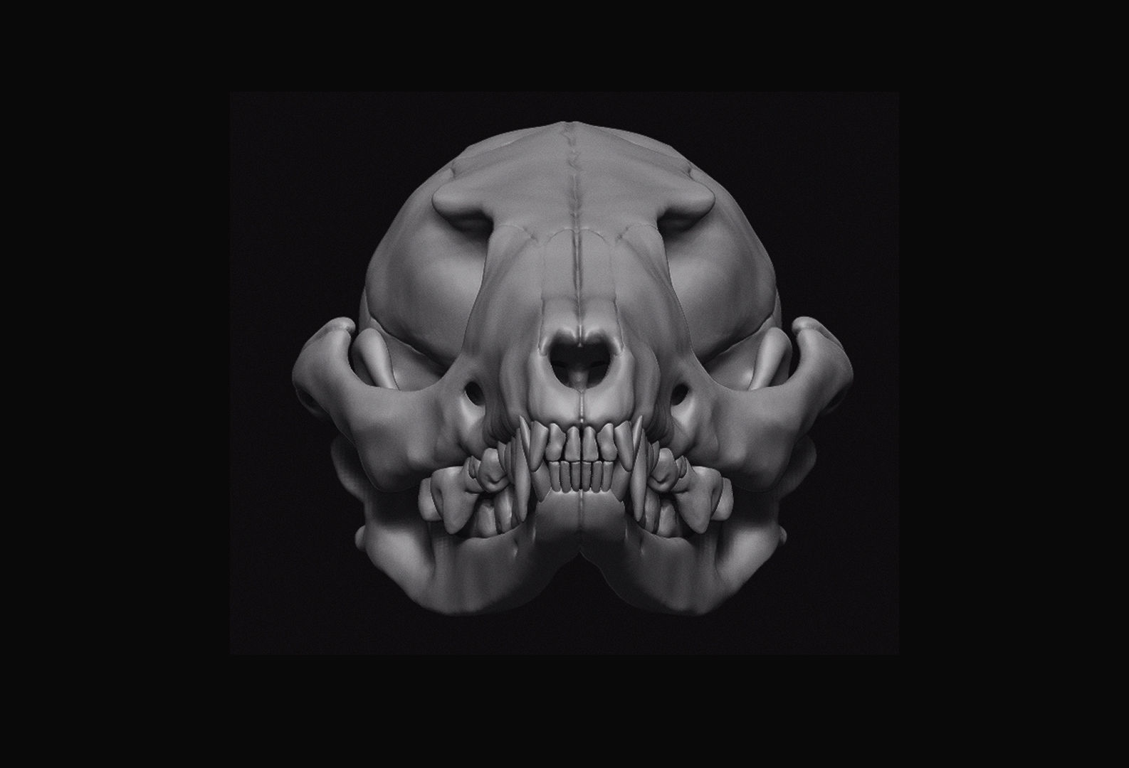 Fox Skull 3D model_6