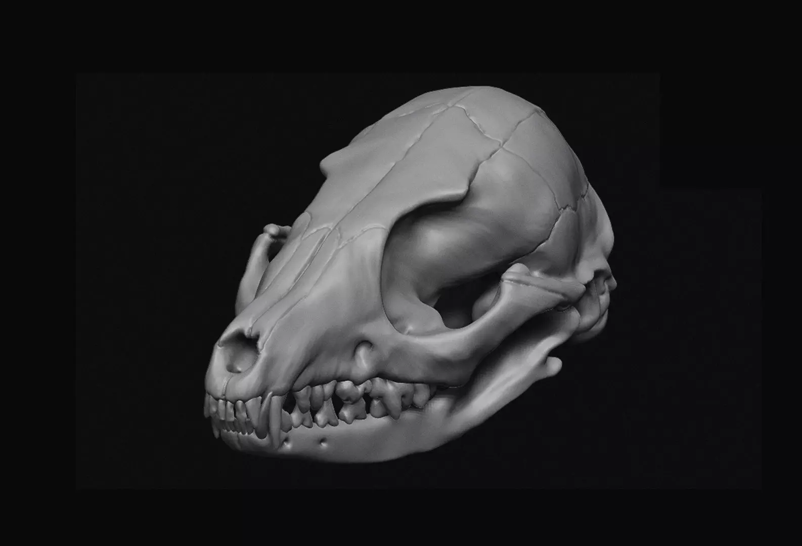 Fox Skull 3D model_0