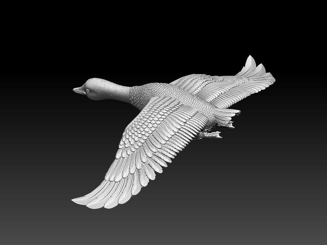 goose longhorn horn 3D print model_8