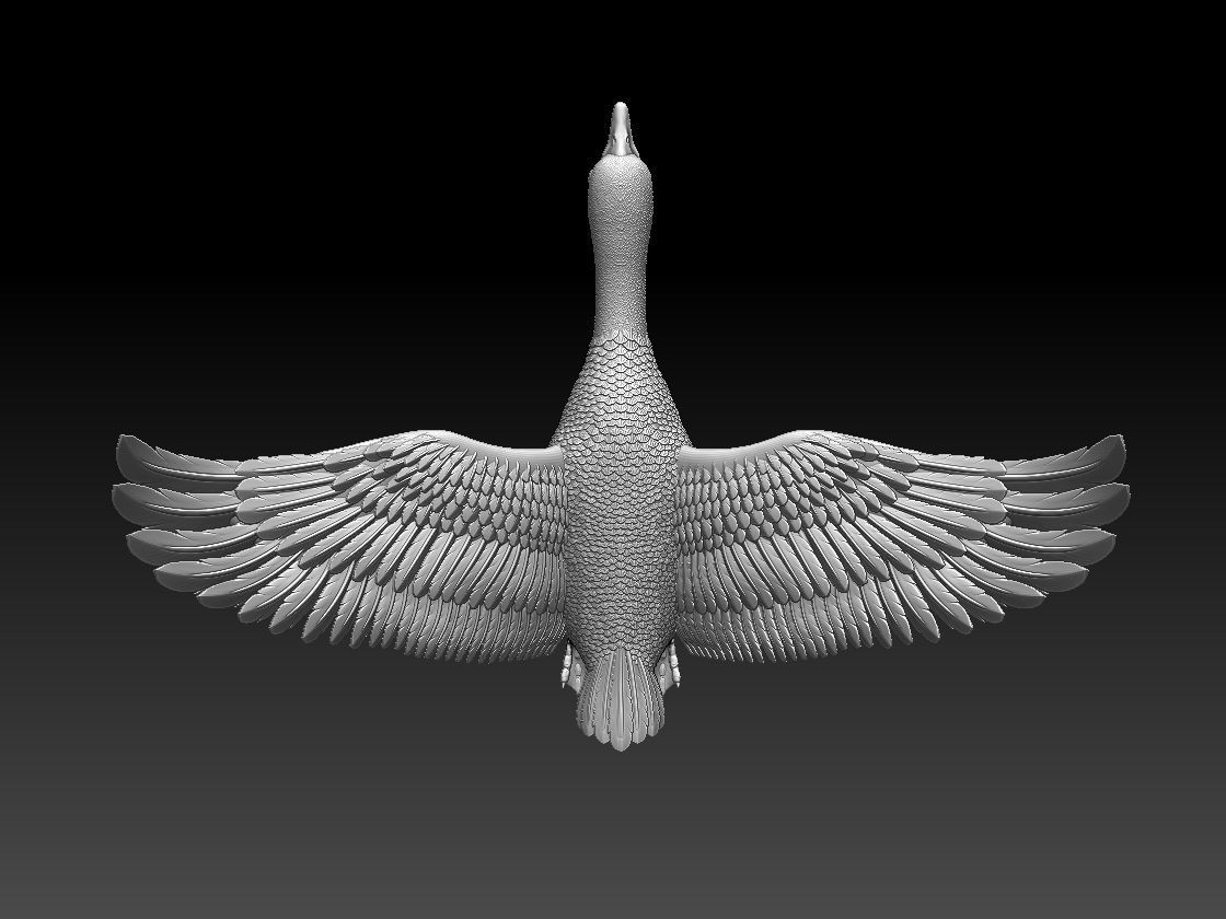 goose duck in flight 3D print model_7