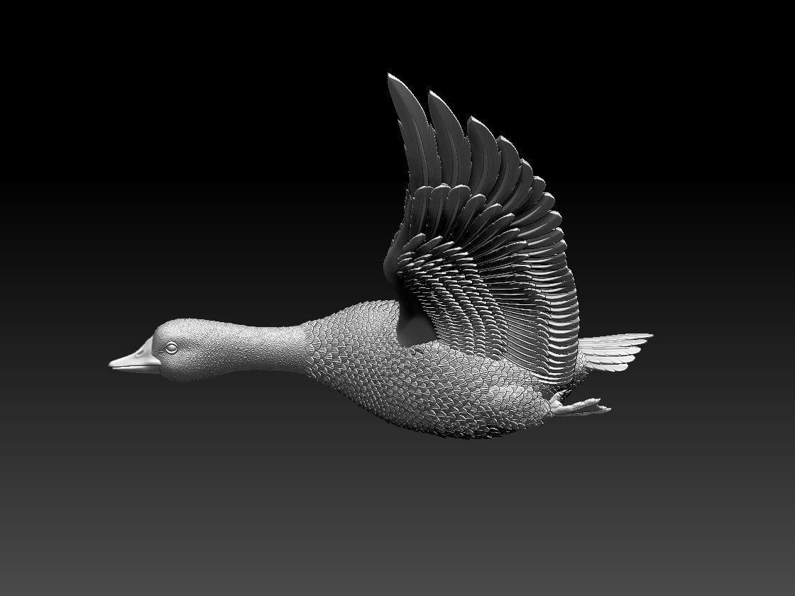 goose duck in flight 3D print model_2