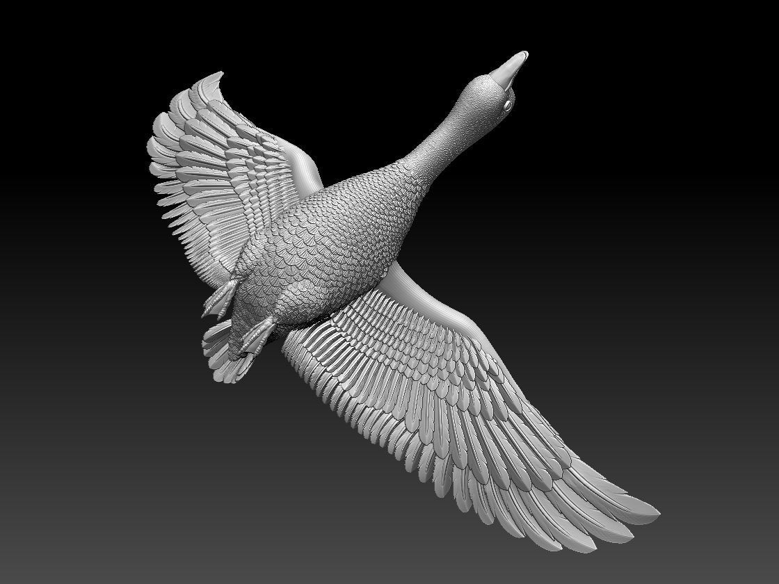 goose duck in flight 3D print model_10