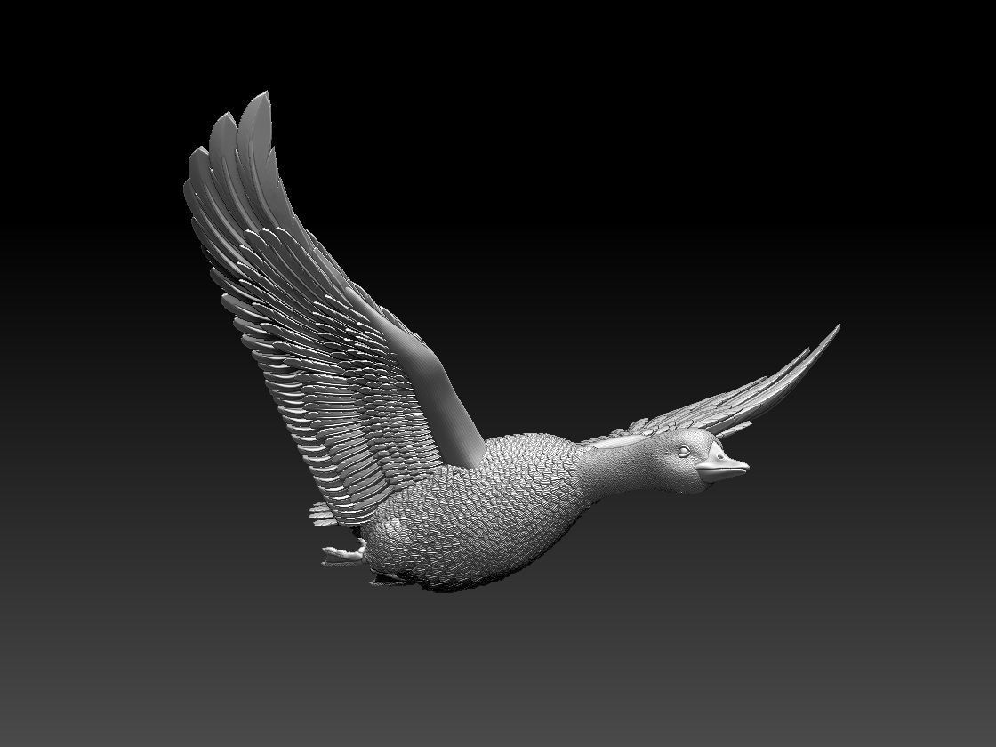 goose duck in flight 3D print model_5