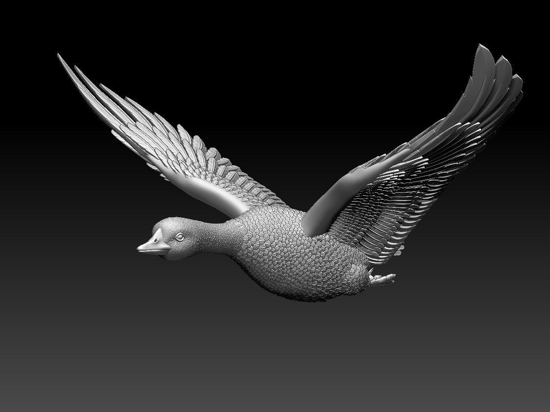 goose duck in flight 3D print model_1