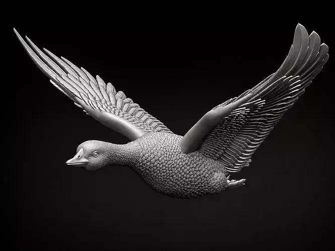 goose duck in flight