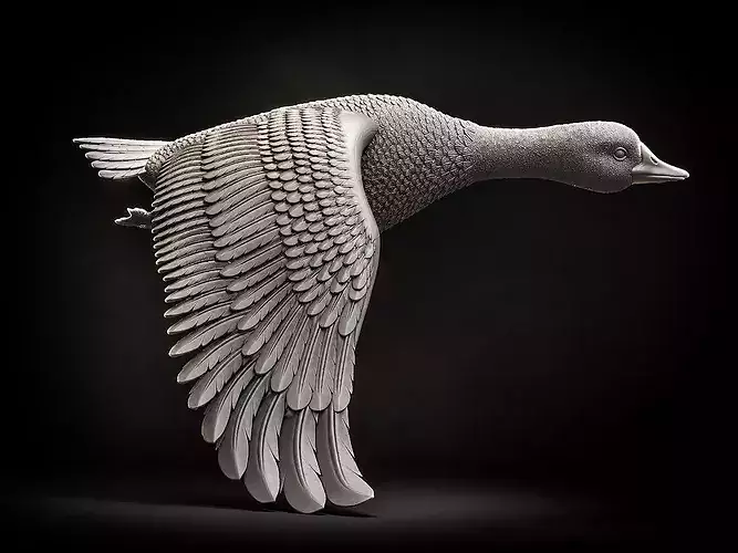 goose duck flying in air