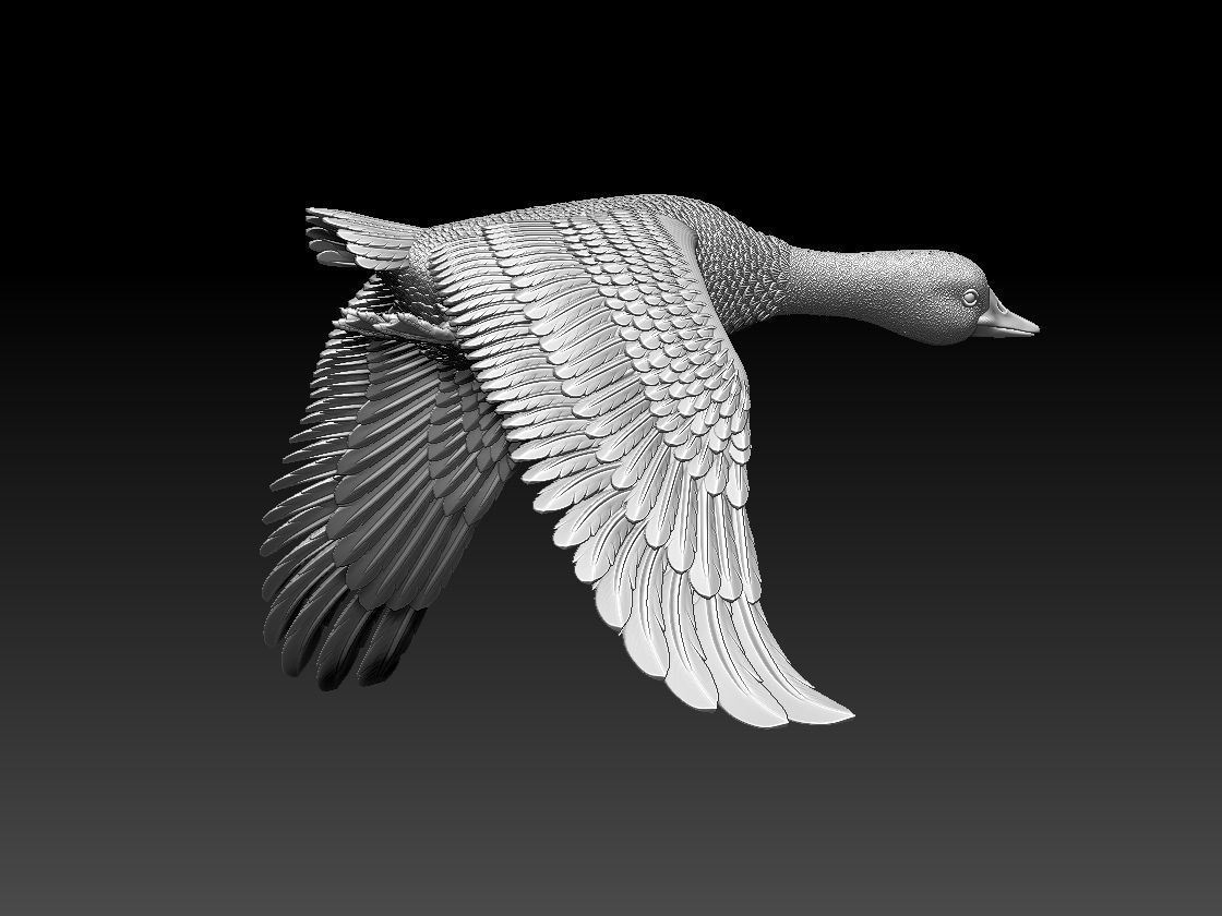goose duck flying in air 3D print model_43