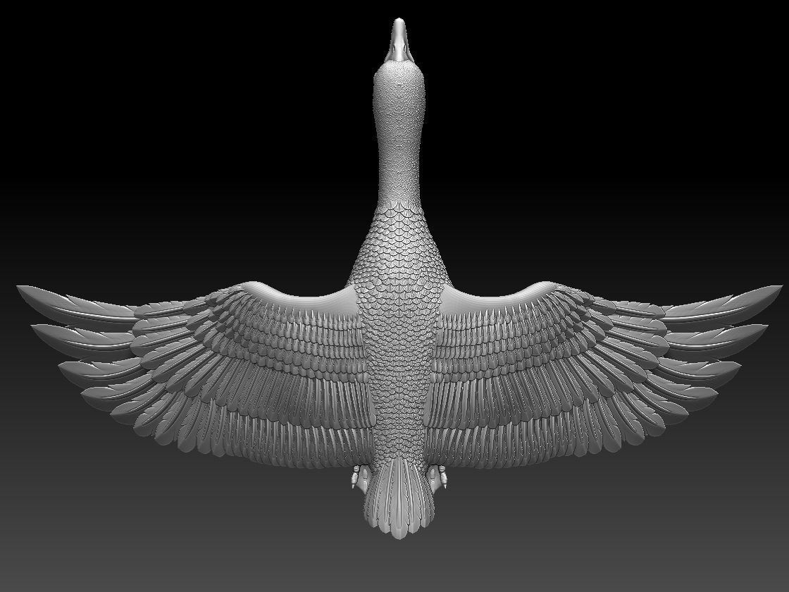 goose duck flying in air 3D print model_50