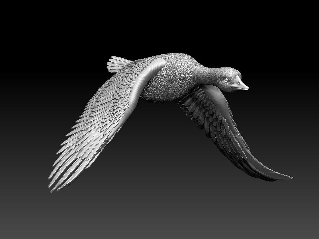 goose duck flying in air 3D print model_45