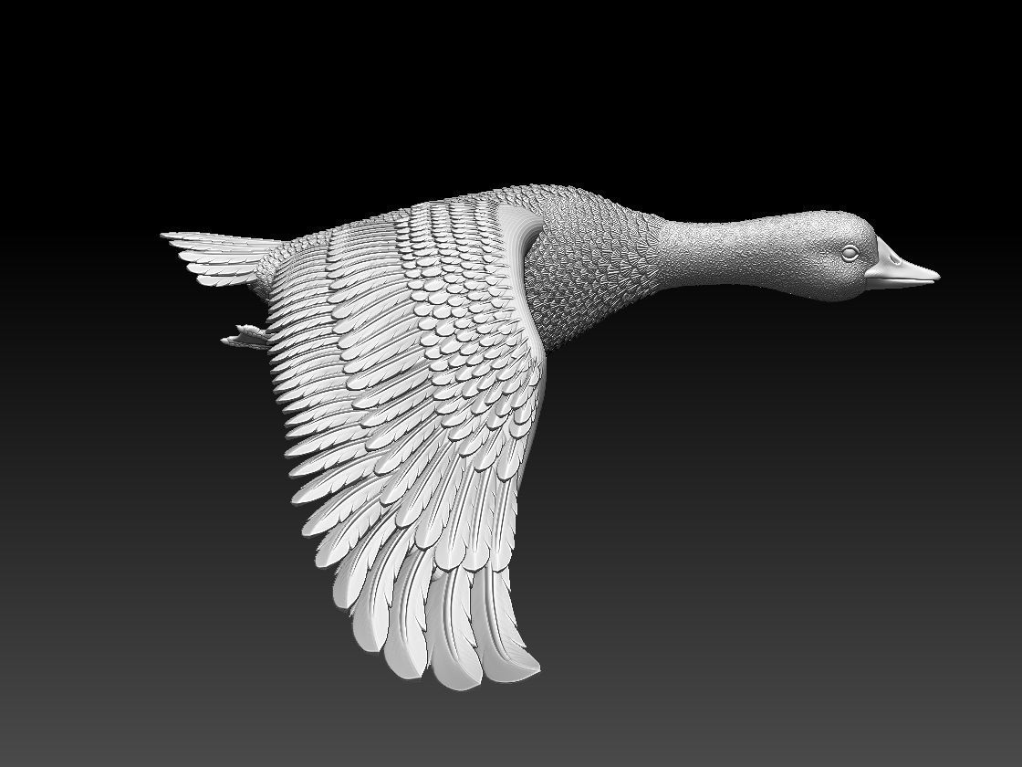 goose duck flying in air 3D print model_22