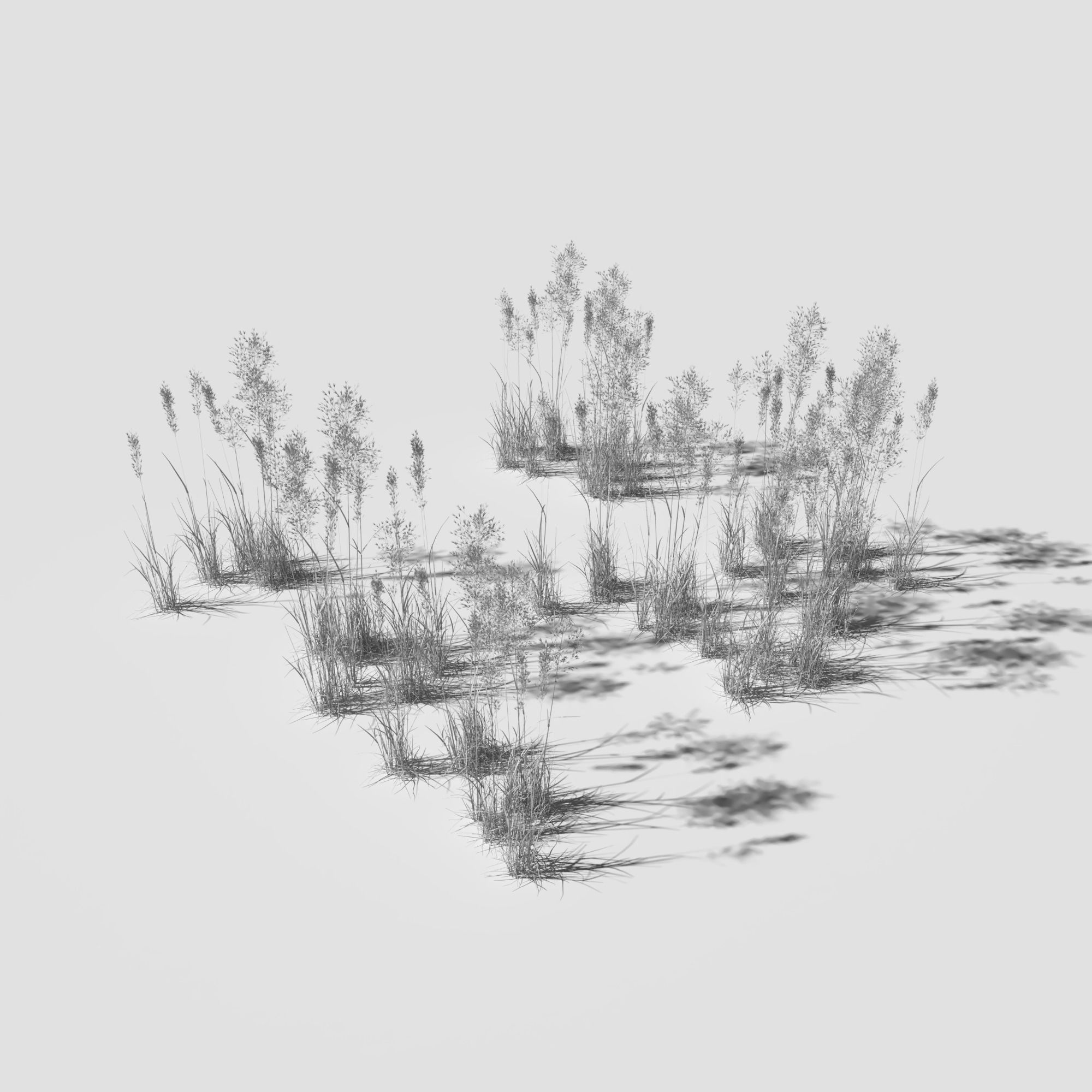 Poppy Meadow Patch and Free Gift 3D model_26