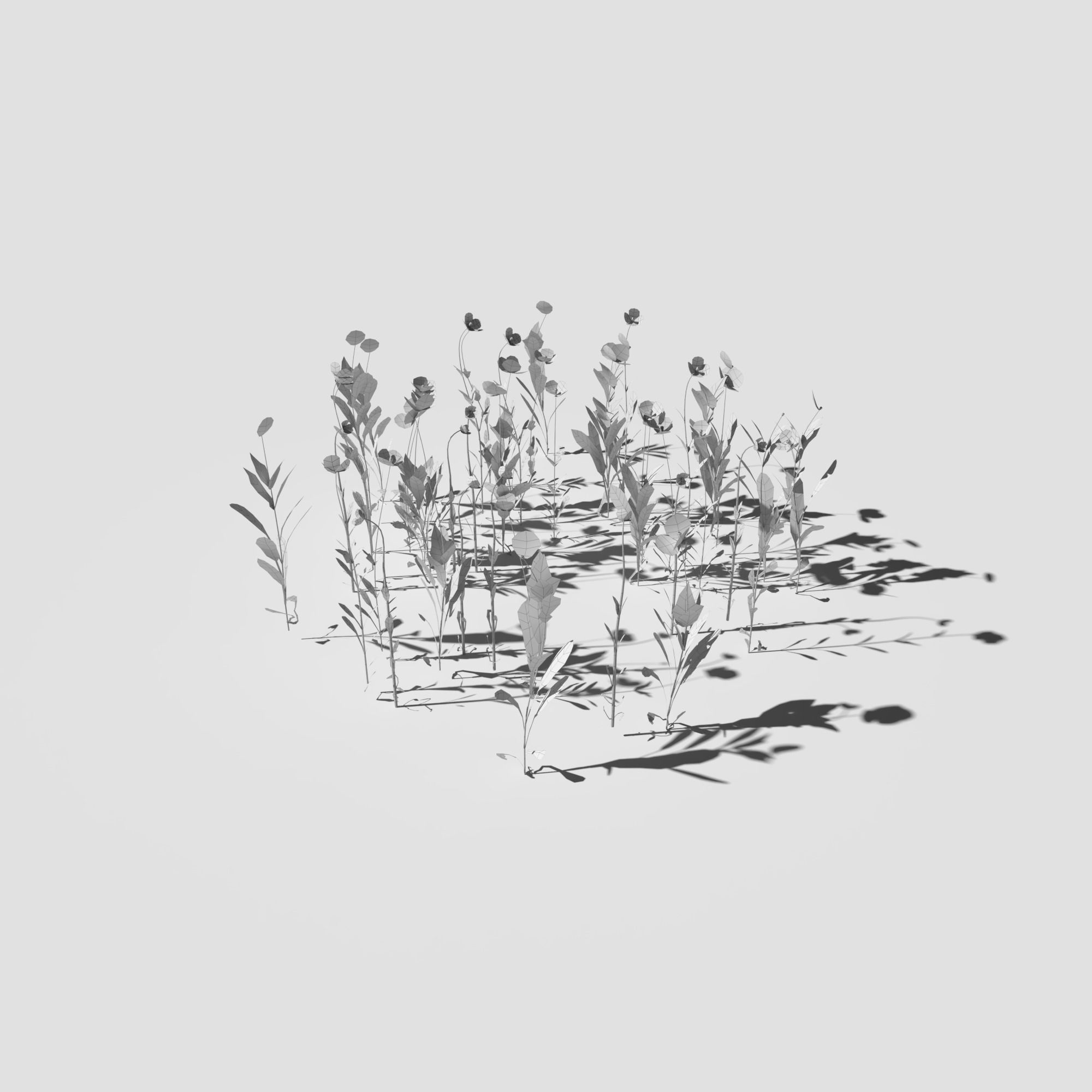 Poppy Meadow Patch and Free Gift 3D model_16