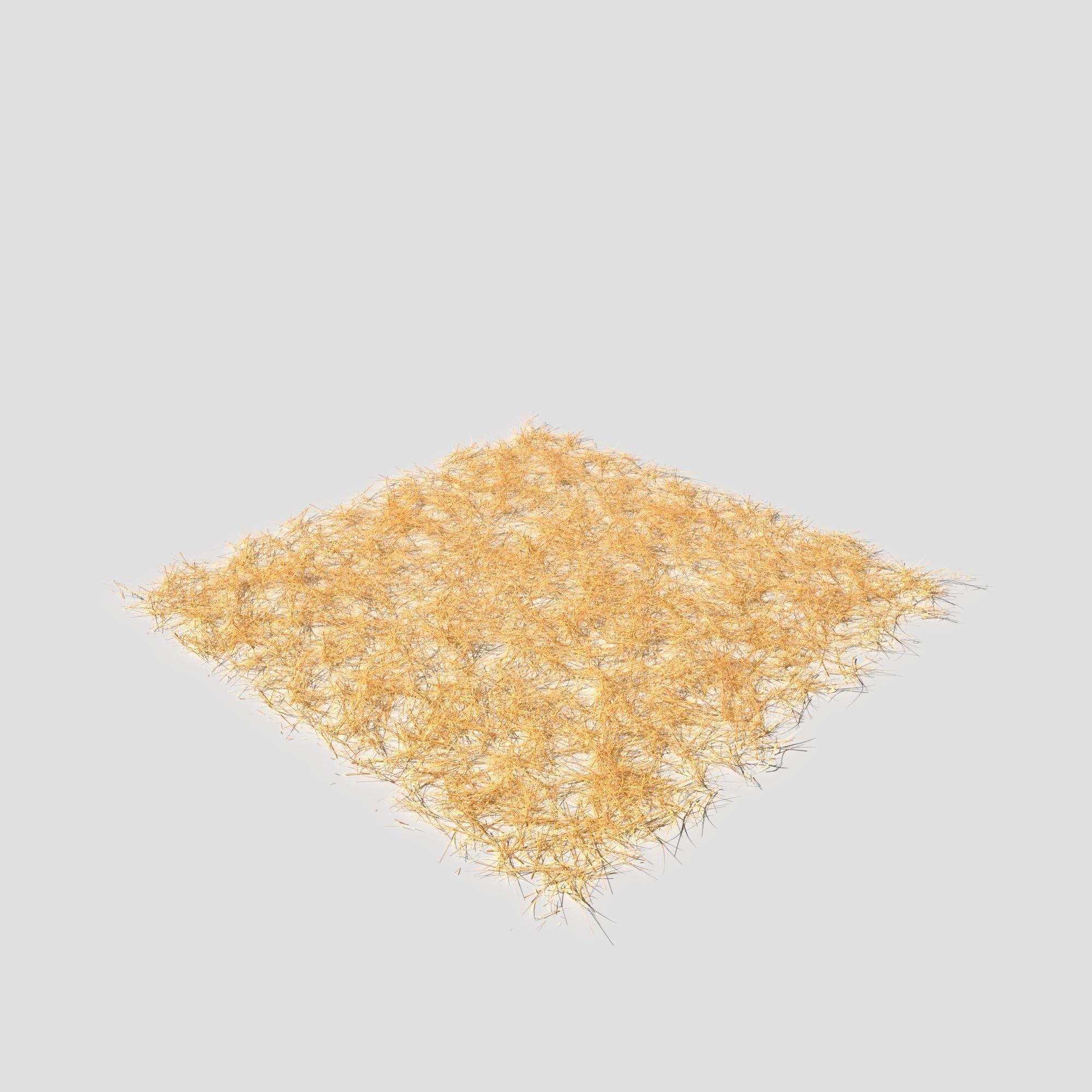 Poppy Meadow Patch and Free Gift 3D model_21